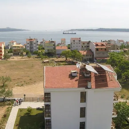 Bagci