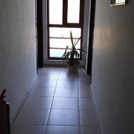 Bagci